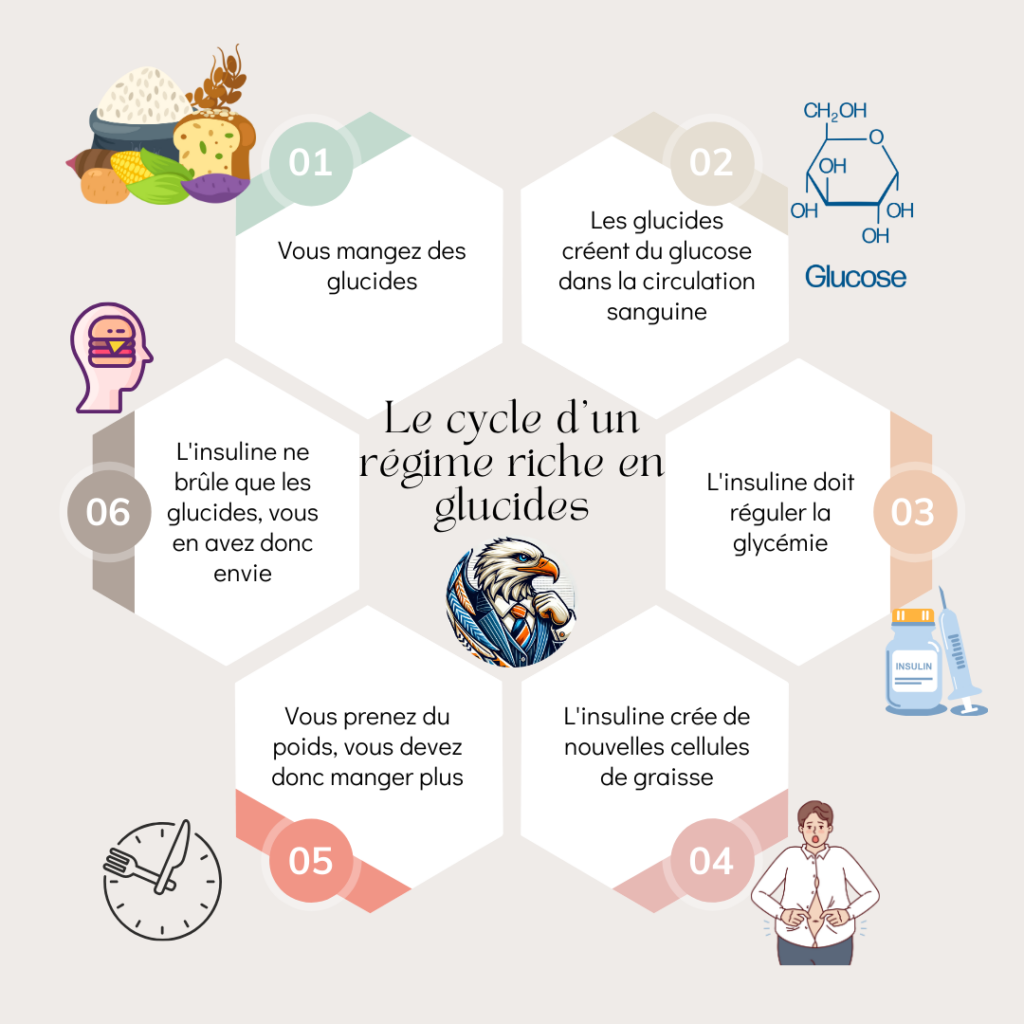 Le cycle d'un régime riche en glucides