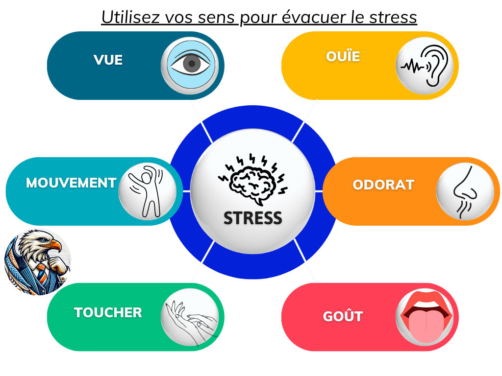 Le Soulagement Rapide du Stress