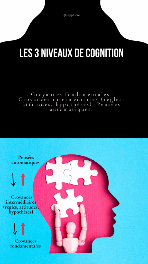 3 niveaux de cognition: 1) -Croyances fondamentales ; 2)-Croyances intermédiaires (règles, attitudes, hypothèses); 3)-Pensées automatiques.