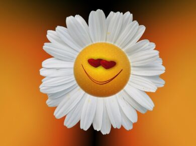 Émotions en Haute Définition : Le Guide des 50 Sentiments Positifs